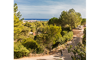 Bormes-les-Mimosas La Favière